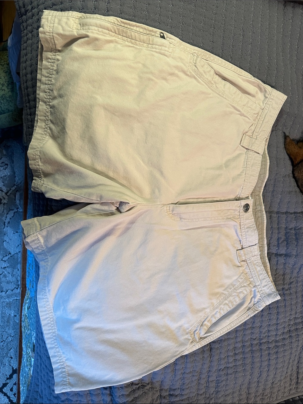 Men's Columbia Flat Front Cotton Utility Shorts - Light Cream, 38 Waist